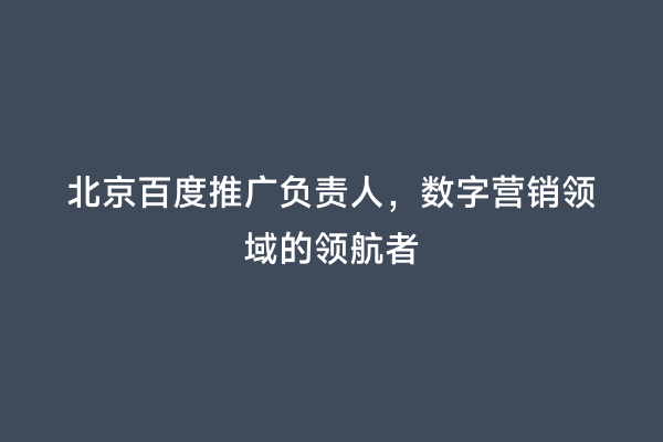 北京百度推广负责人，数字营销领域的领航者