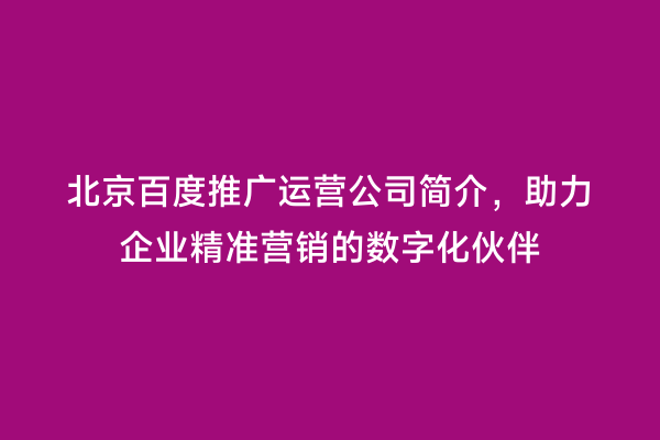 北京百度推广运营公司简介，助力企业精准营销的数字化伙伴