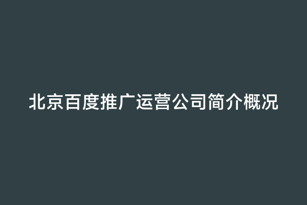 北京百度推广运营公司简介概况