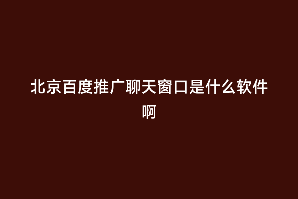 北京百度推广聊天窗口是什么软件啊