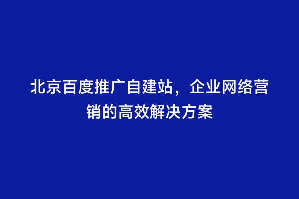 北京百度推广自建站，企业网络营销的高效解决方案