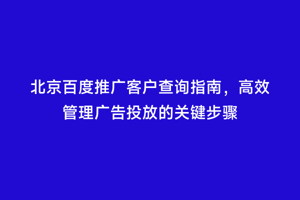 北京百度推广客户查询指南，高效管理广告投放的关键步骤