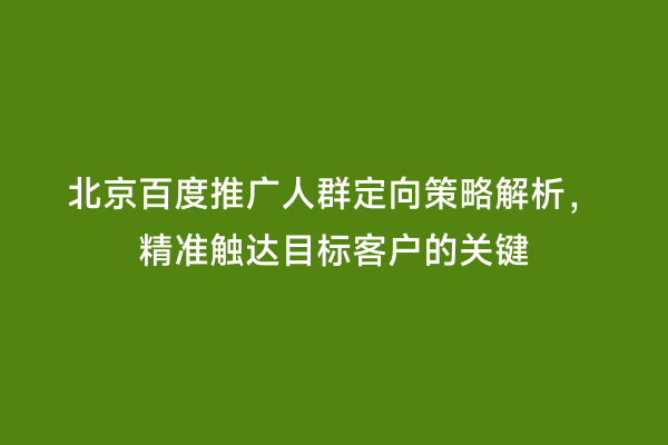 北京百度推广人群定向策略解析，精准触达目标客户的关键