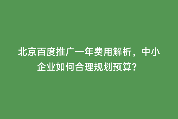 北京百度推广一年费用解析，中小企业如何合理规划预算？