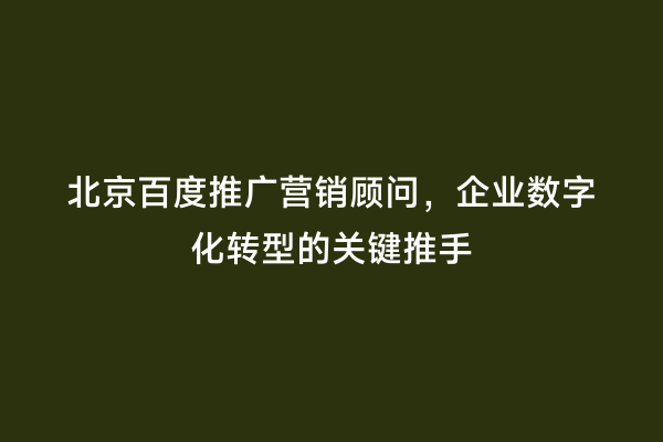 北京百度推广营销顾问，企业数字化转型的关键推手