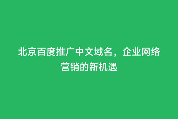 北京百度推广中文域名，企业网络营销的新机遇