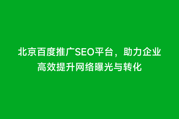北京百度推广SEO平台，助力企业高效提升网络曝光与转化