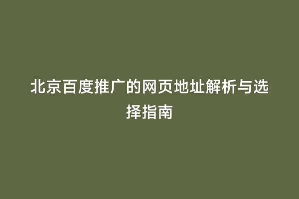 北京百度推广的网页地址解析与选择指南